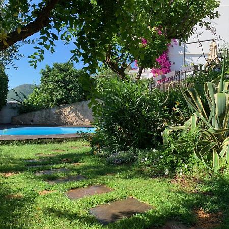 Villa Pineland Borghetto Santo Spirito Exterior foto